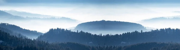 Verbazingwekkende Mystieke Opkomende Mist Bergen Hemel Bos Bomen Landschap Uitzicht — Stockfoto