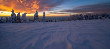 Stunning panorama background of snowy frozen trees firs landscape in winter in Black Forest - Snow view winter wonderland snowscape sunset with glowing sky in the evening
