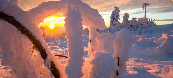 漆黑的森林 雪地的雪景 雪地的雪景夕阳西下 夜空闪烁着灿烂的光芒 — 图库照片