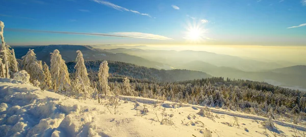 黑森林冬季雪景全景尽收眼底 雪景冬季仙境夕阳西下的黄昏背景旗 — 图库照片