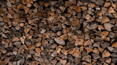 Orman arka planı - çam ve çam ağaçları. Kütük sandıkları, kereste sanayisi..