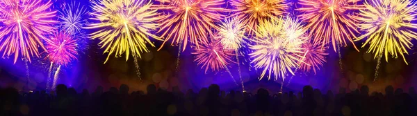 Fireworks pyrotechnics celebration party event festival holiday or New Year background banner panorama - Colorful firework and silhouette of people looking at the explosions