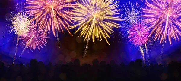 Fireworks pyrotechnics celebration party event festival holiday or New Year background - Colorful firework and silhouette of people looking at the explosions