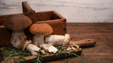 Gıda fotoğrafçılığı geçmişi - Orman mantarları / Boletus edulis (King bolete) / penny bun / cep / porcini / mantar ve biberiye otları