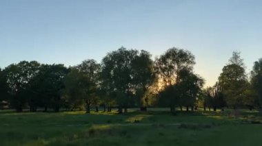 Parktaki yolun görüntüleri.