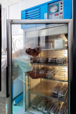 Milan, İtalya - 18 Kasım 2020: Analitik laboratuvar çalışanı buzdolabından test tüpleriyle rafları topladı