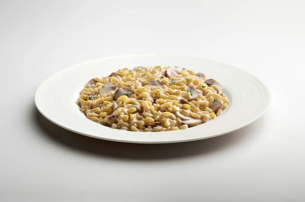 White Dinner Plate Porcini Mushroom Risotto Isolated White Background — Stock Fotó