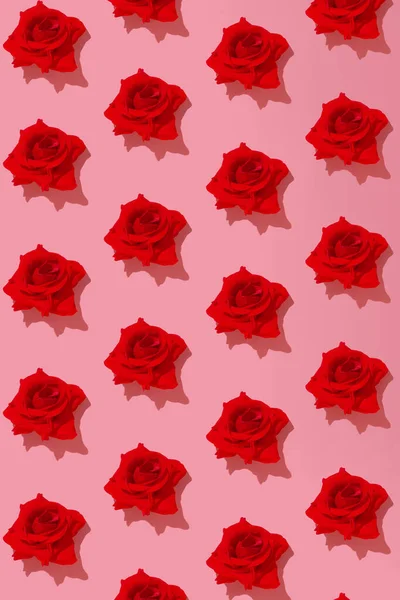 Motif Roses Rouges Sur Fond Rose Concept Amour Minimal Saint — Photo