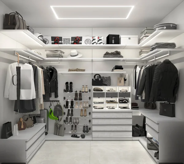 Walk-in closet design ideas, 3D illustration