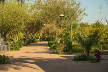 Yazın yeşil park. Yaz tatili güneşli bir öğleden sonra şehrin dışındaki çimlerde. Yeşil ağaçlar ve yol görünürken parkta yürüyüp koşu yapmak. Kuveyt Salmia Parkı iç görünümü