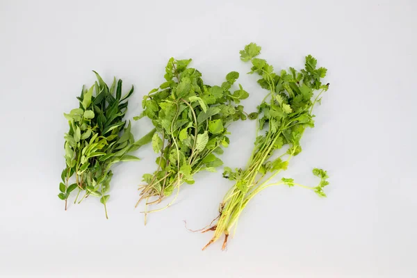 Selective focused organic curry leaf, coriander leaf and mint leaf isolated in white background. Curry leaf / coriander leaf and mint leaf bunch isolated in white backgroun