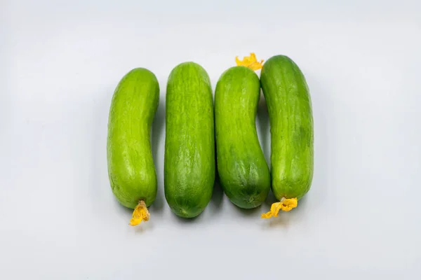 Select Focused Cucumbers Isolated White Background Cucumbers Top View Greenhouse — Stock Photo, Image