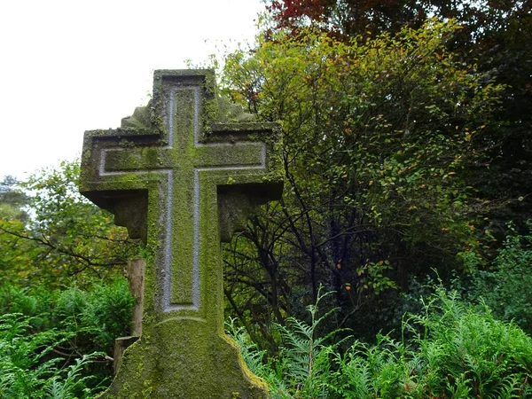 纪念死者的古老坟墓十字架 背景上有灌木和树木 — 图库照片