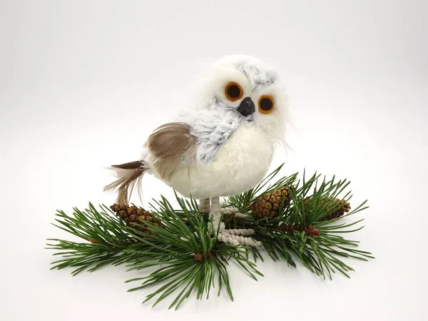 クリスマスの装飾 白い背景に孤立松コーンと松の枝に白いフクロウ — ストック写真