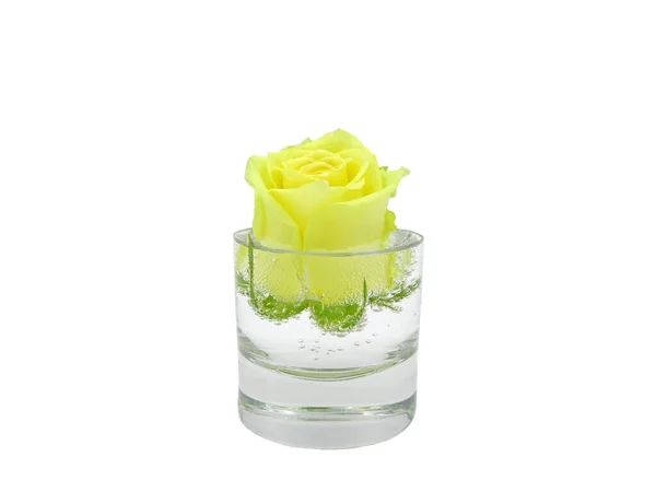 Жовта Троянда Половині Склянки Ігристої Води Ізольована Білому Тлі — стокове фото
