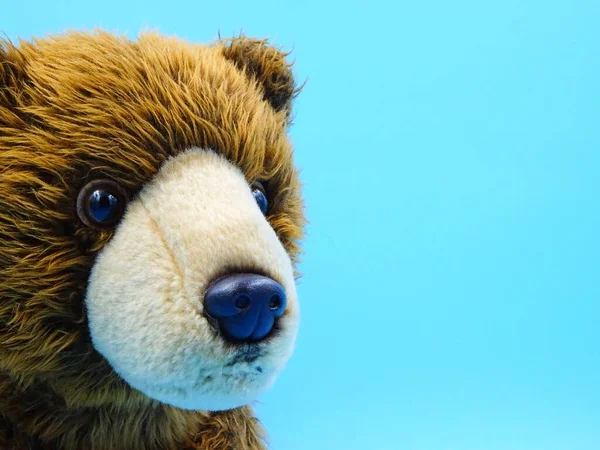 Brauner Teddybär Auf Blauem Hintergrund Mit Platz Für Text — Stockfoto