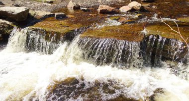 Küçük şelaleli akarsu, Ardennes, Belçika.