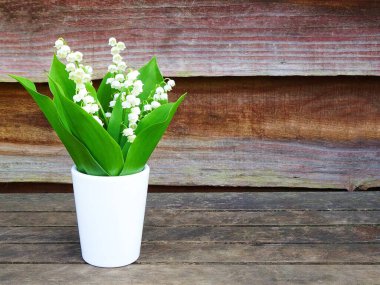 Vadideki zambak, beyaz bir vazoda, ahşap bir bahçe masasında..