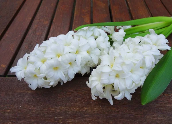 White Hyacinths Wooden Table — Zdjęcie stockowe