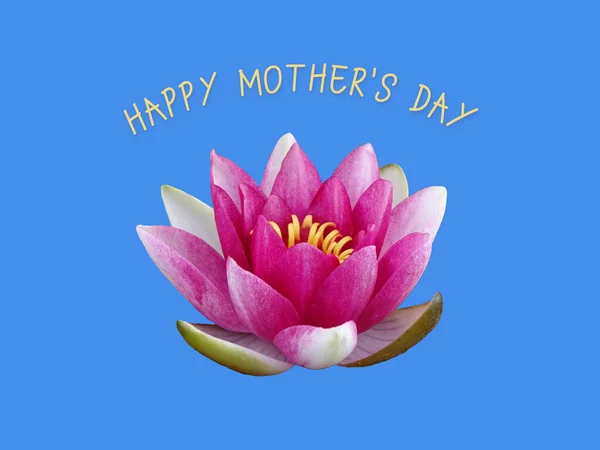 Water lily isolated on a blue background. Mother\'s Day card. Text \'Happy mother\'s day\'.