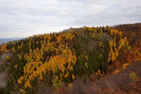 Autumn Views Broad Leaved Forest Zhiguli Mountains —  Fotos de Stock