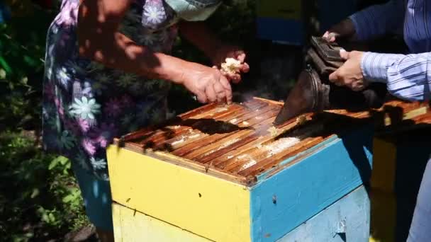 养蜂人将多余的蜡从开放式蜂房的框架中取出 — 图库视频影像