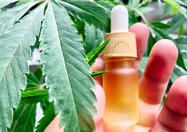 Handheld Oogdruppelflesje Met Medicinale Cannabis Olie Met Marihuana Plant — Stockfoto