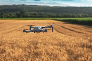 Buğday tarlası ve mısır ekimi arazisi, tarımda dron kullanımı kavramı.