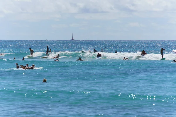Honolulu, Hawaii - 6 Kasım 2021-Genç çocuklar sörf tahtasında oynuyorlar.
