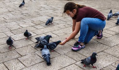 Sarajevo, Bosnia - May 2, 2022 - Young girl feeds the pigeons in a park.