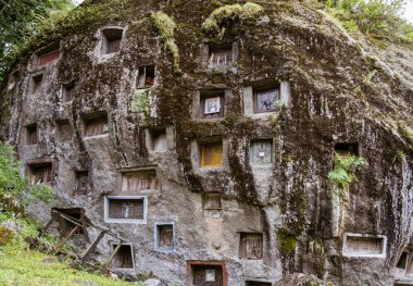 Java, Indonesia, June 13, 2022 - Prestigious Toraja citizens are buried in manually carbed out slots in a rock hillside.