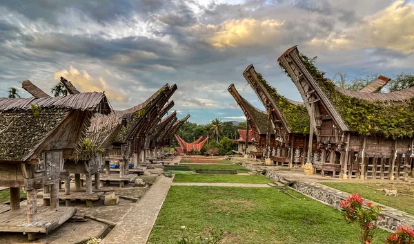 Java Indonesia June 2022 Toraja Homes All Follow Same Rigid —  Fotos de Stock