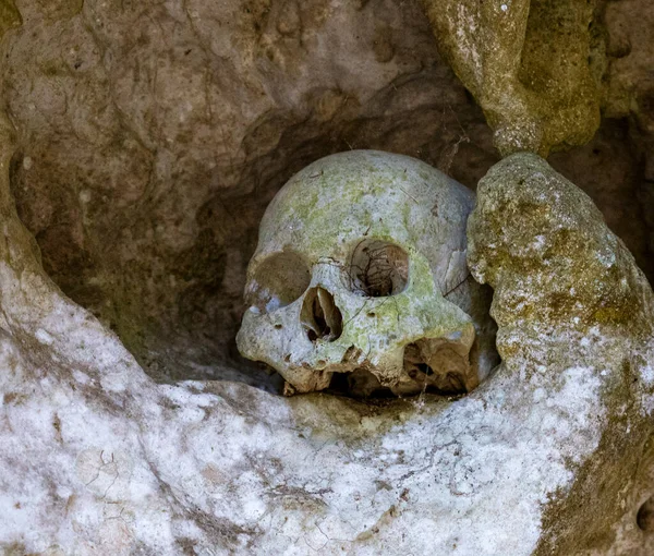 Indonesia June 2022 Skulls Londa Burial Caves Guard Caskets Those — Foto de Stock