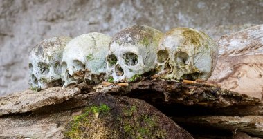 Java, Indonesia, June 13, 2022 - Hanging coffins were common in Toraja several hundred years ago. Skulls were left to guard the caskets at Londa Burial Caves.