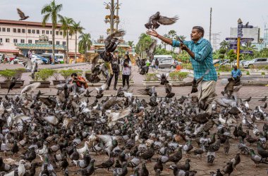 Malezya, 10 Temmuz 2022 - Maymunlar Batu Mağaralarının önünde beslenir.