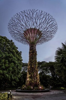 Singapur, 24 Temmuz 2022 Süper Ağaç Korusu.