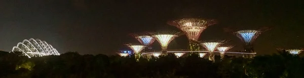 Singapur Temmuz 2022 Gece Vakti Super Tree Grove — Stok fotoğraf