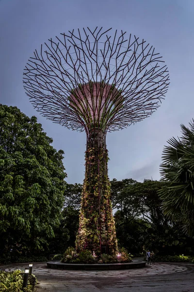 Singapour Juillet 2022 Super Tree Grove — Photo