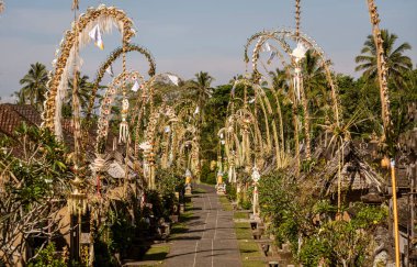 Indonesia - Street is lined with Penjors on Galungan Day in Bali.