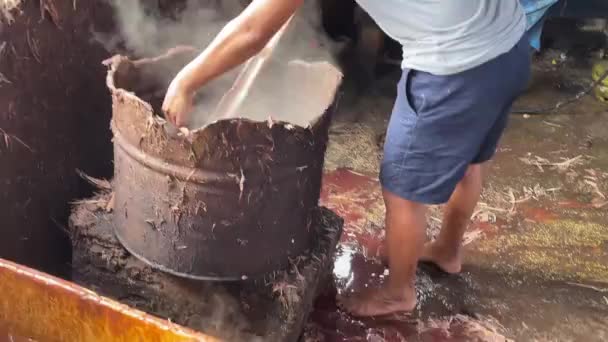 Lemo Toraja Indonesia 07072022 Chickens Market Vendor Being Taken Boiling — Stock Video