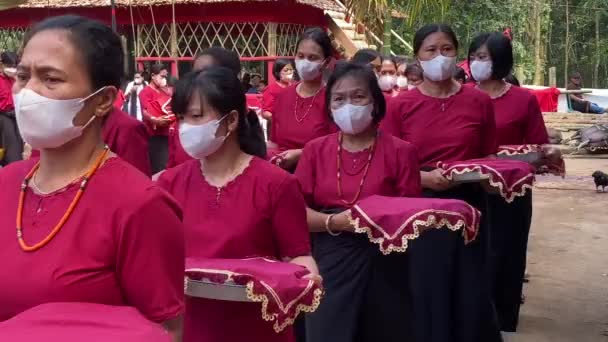 Лемо Тораджа Індонезія 07042022 Похоронна Процесія Жінок Подарунками — стокове відео