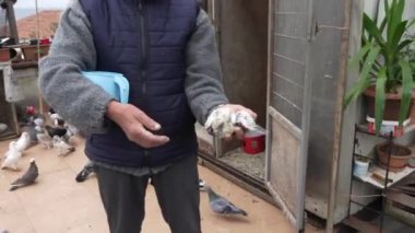 İstanbul, Türkiye, 04302022-Man 2 aylık güvercini tutuyor.