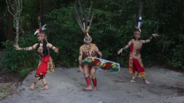 Endonezya, Borneo, Endonezya - 05192022 Orman Dansçıları Kalkan İndirin.