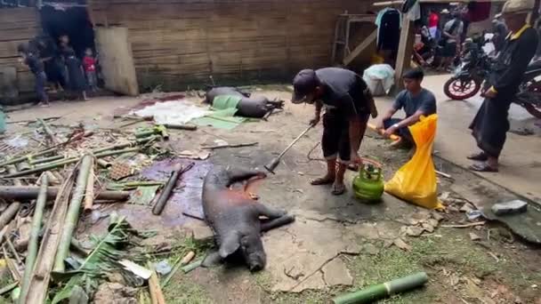 Lemo Toraja Indonesien 07042022 Begravning Stor Propan Fackla Används För — Stockvideo