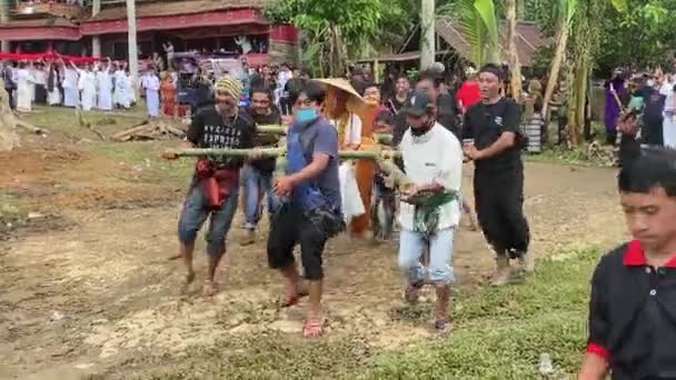Lemo Toraja Indonesia 07042022 Funeral Wooken Tau Tau Effigy Carries — Stock Video