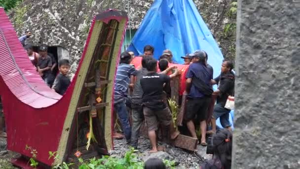 Lemo Toraja Indonesien 07042022 Bola Bola Begravning Kista Carrier Röd — Stockvideo