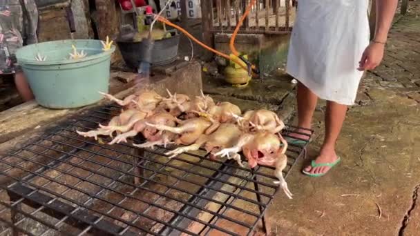 Lemo Toraja Indonesia 07072022 Pollos Mercado Cocinando Con Antorcha Propano — Vídeo de stock