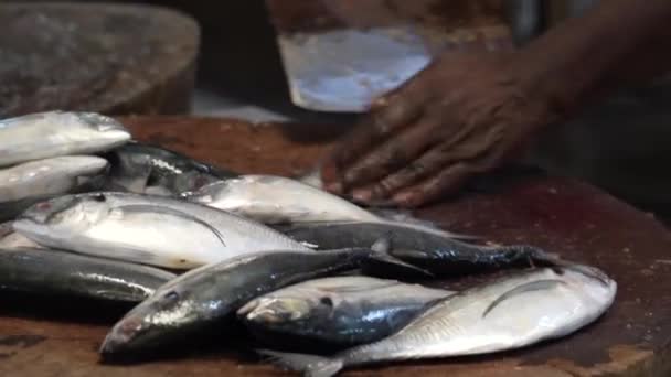 Penang Malaysia 07172021 Wet Market Gutting Fish Sale — 비디오