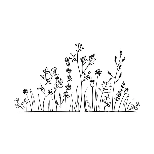 Konst För Vektorlinjer Blommor Och Naturliga Teman Svart Skiss Gräs — Stock vektor