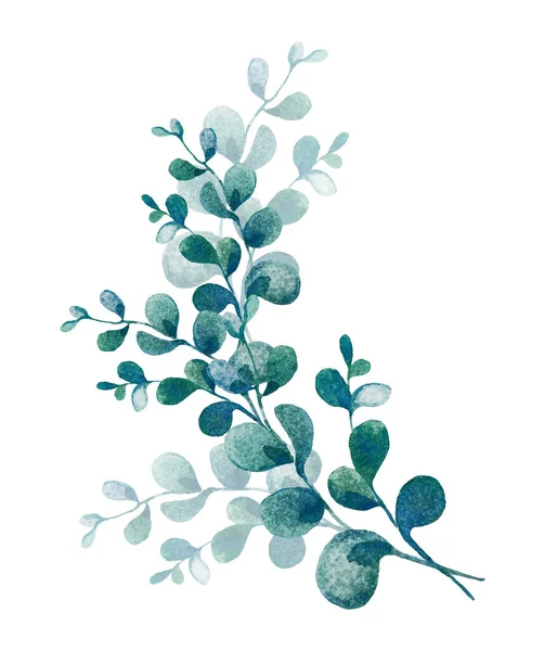 Watercolor eucaliptus leaf branch. Floristic design elements for floristics. Hand drawn illustration. Greeting card. Floral print. Plant painted background. For postcards, greetings, cards, logo